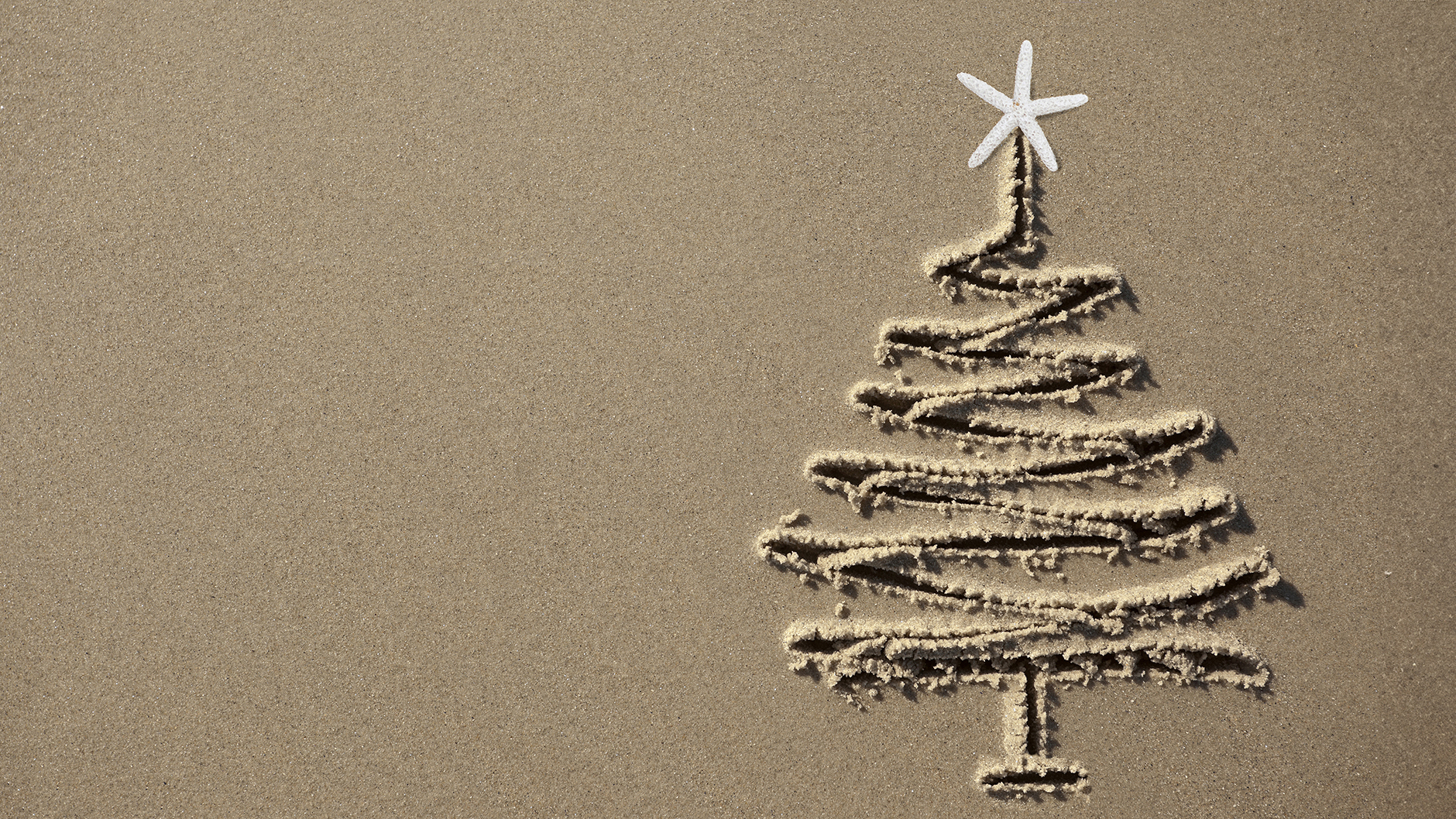 Christmas tree drawn in sand topped with delicate starfish