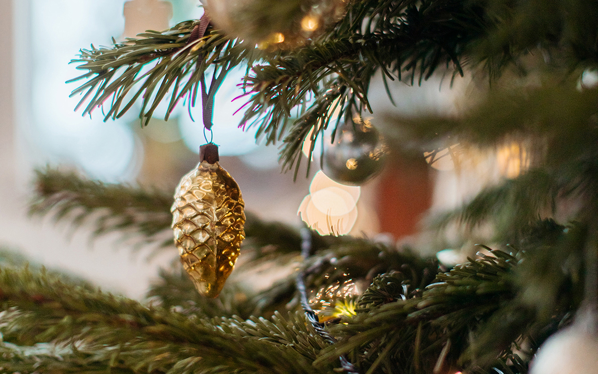 ornaments hanging on Christmas tree branches