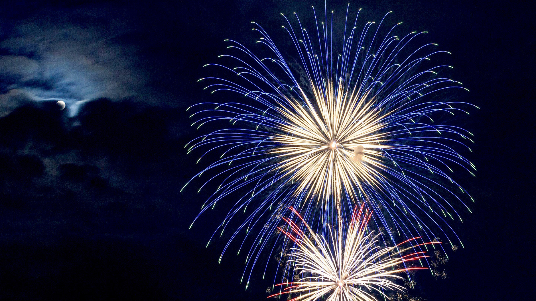 fireworks bursting in night sky